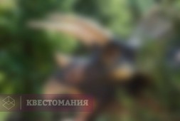 По следам динозавров