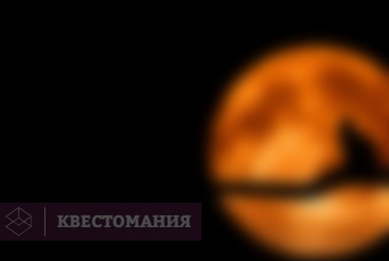 Квест-анимация Ночь Т