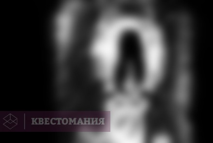 Квест Звонок