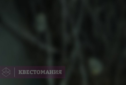 Квест Проклятие лабиринта