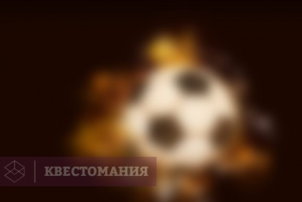 Квиз Eleven Quiz