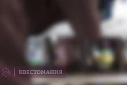 Экшн-игра Сокровища форта Боярд