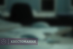 День без галстуков