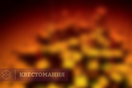 Городской квест Поспорим? Пари коллекционера