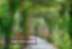 Удивительные Сокольники