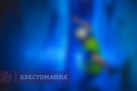 Квест-Перформанс Беги на свет