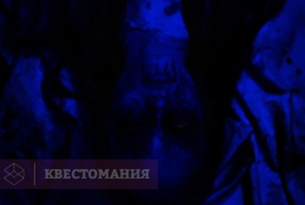 Квест-Перформанс Морг