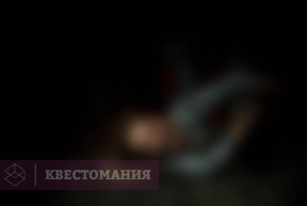 Квест-Перформанс Alive