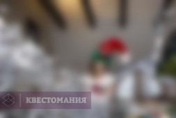 Тайна новогодних часов