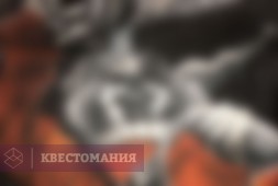 Не тот цирк. Заключение