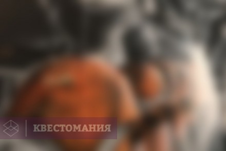 Квест-Перформанс Не тот цирк. Заключение