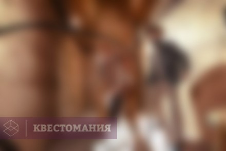 Квест Индиана Джонс и Храм Иллюминатов