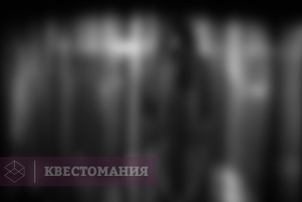 Квест Клетка