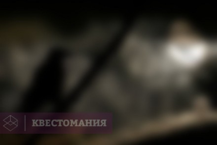 Квест-Перформанс Полночь