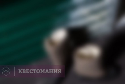 Квест Полюс