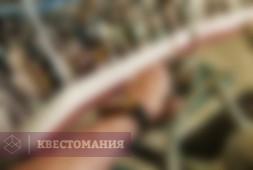 Рейс 9/11