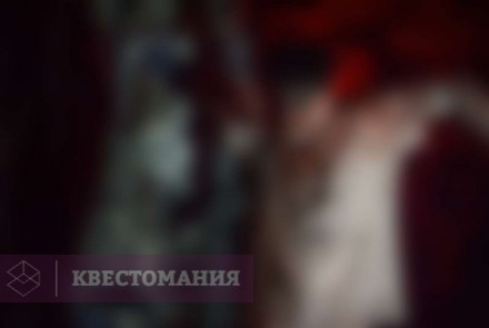 Квест-Перформанс Паноптикум