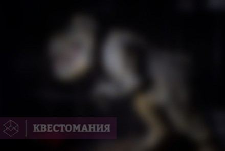Квест Парк Юрского Периода