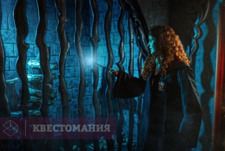 Квест Гарри. Школа магии
