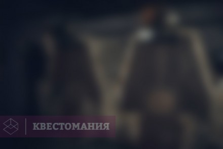 Квест Приют