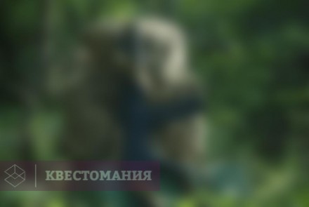 Экшн-игра Развед-квест