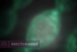 База ФБР