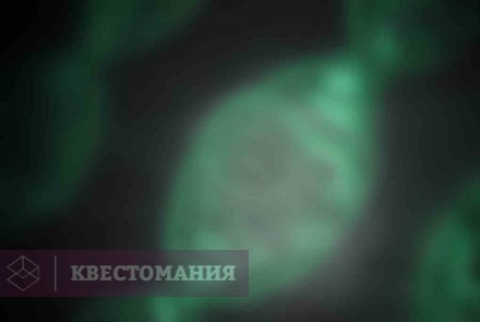 Квест База ФБР