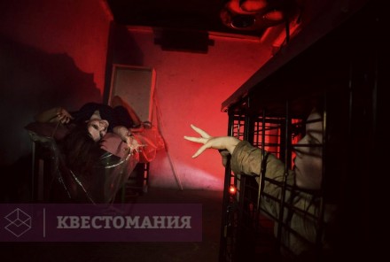 Квест-Перформанс Анамнез